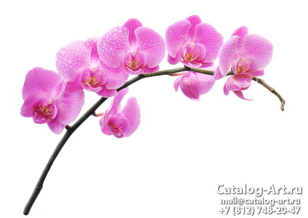 картинки для фотопечати на потолках, идеи, фото, образцы - Потолки с фотопечатью - Розовые орхидеи 73